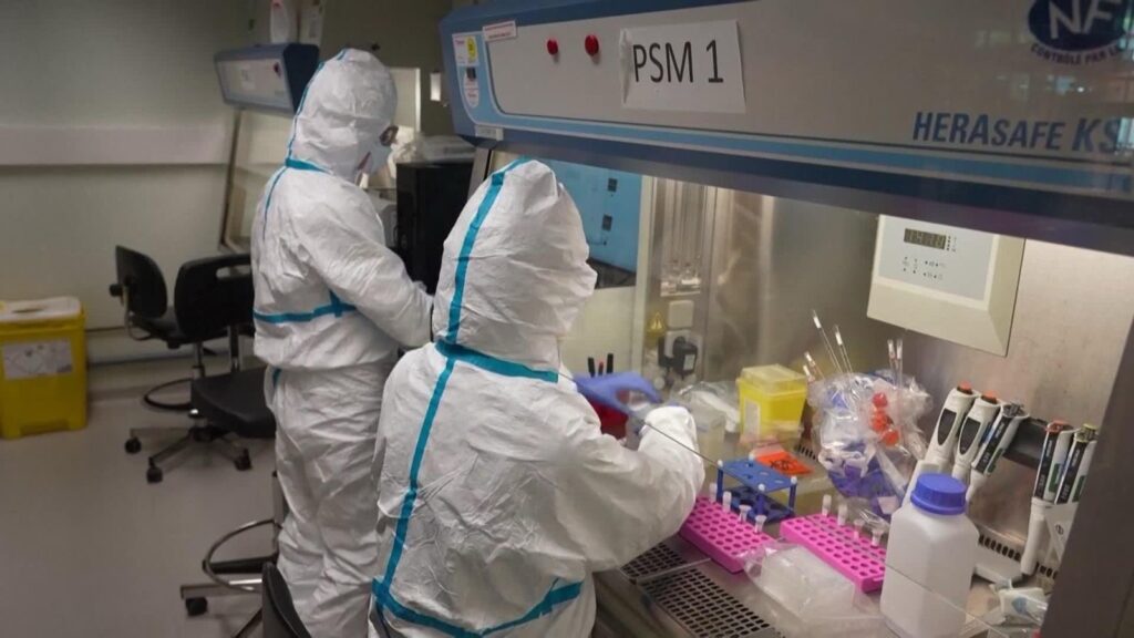 Las autoridades sanitarias europeas califican como “muy bajo” el riesgo de que el virus Nipah llegue al continente pese a brotes en Asia